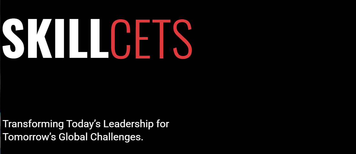 Skill Cets Languages